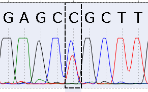 An Alternative mutation example