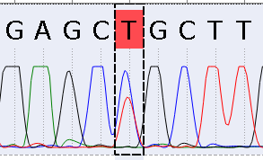 A visible Alternative mutation